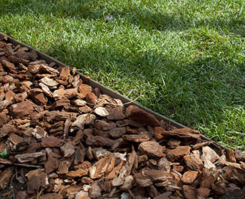 Bordura de madera técnica profesional
